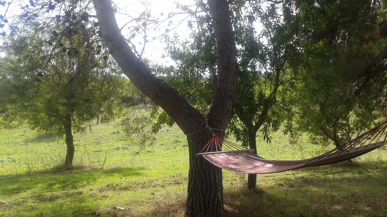 Photo of Outdoor in Martina Franca