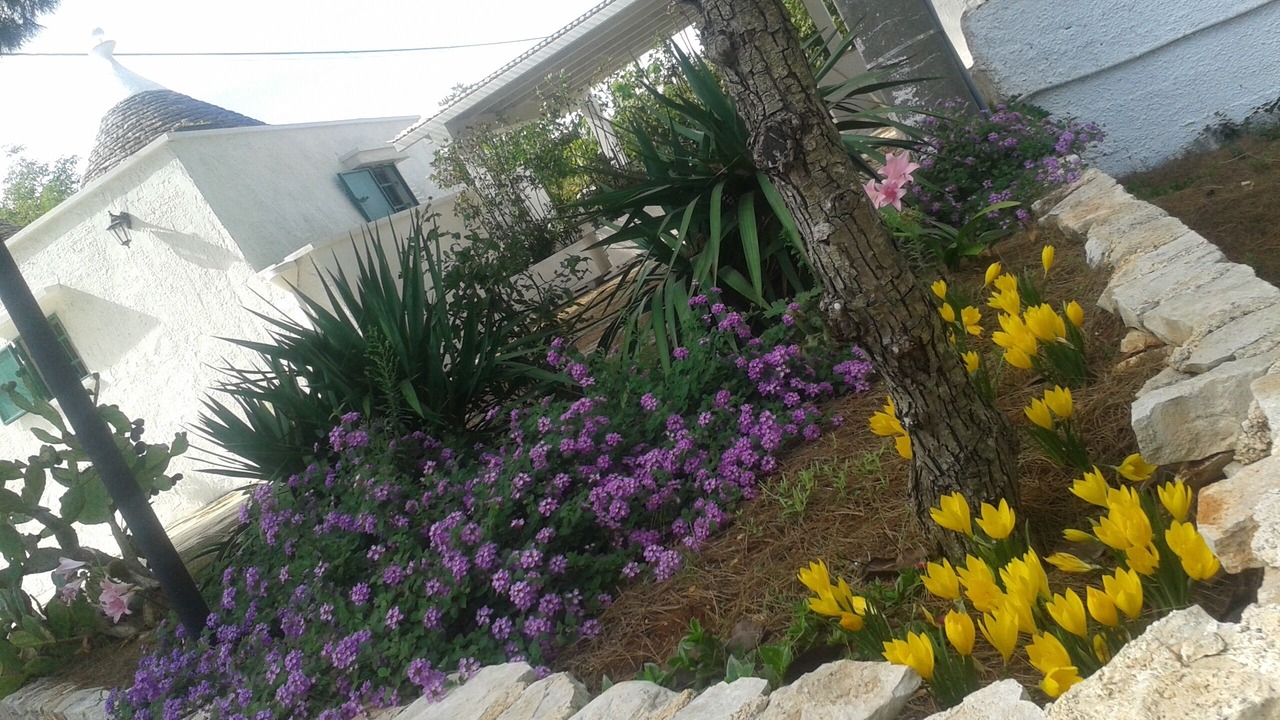 Photo of Outdoor in Martina Franca