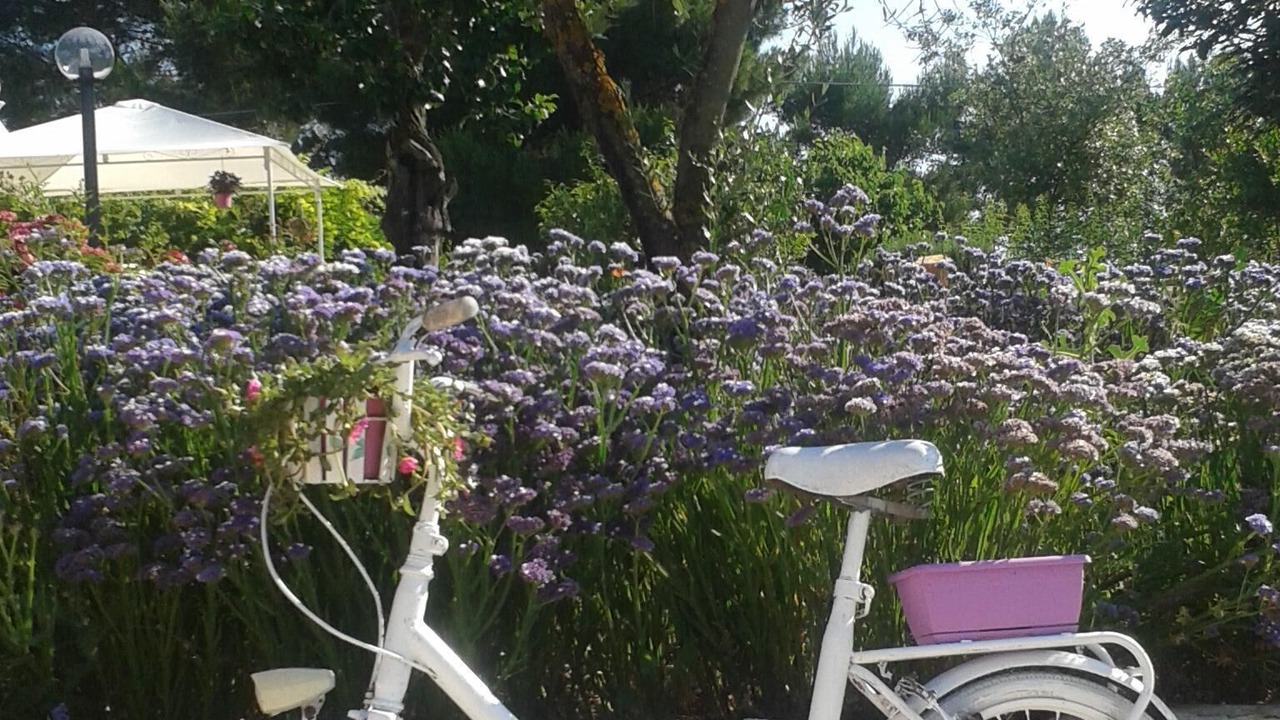 Photo of Outdoor in Martina Franca