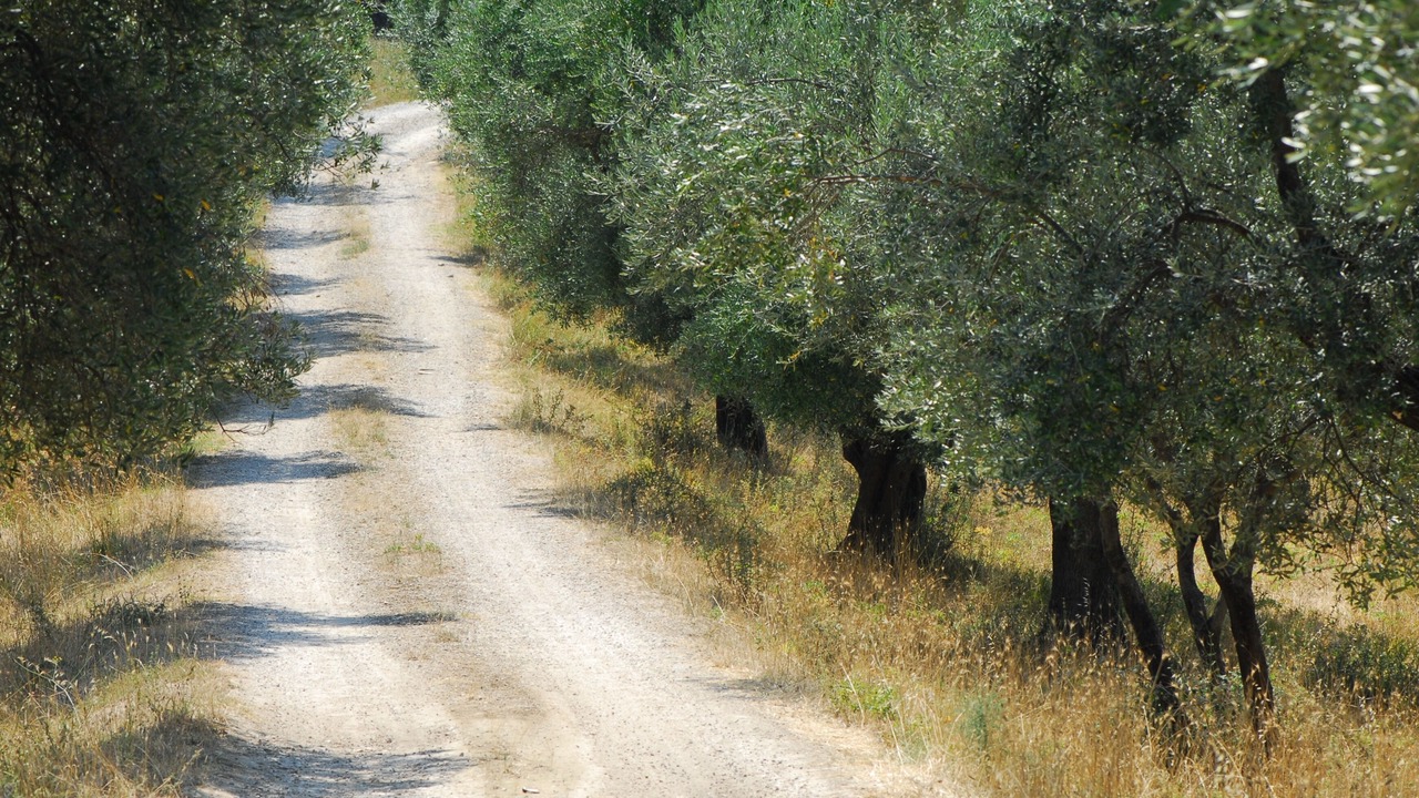Photo of Outdoor in Palombara Sabina