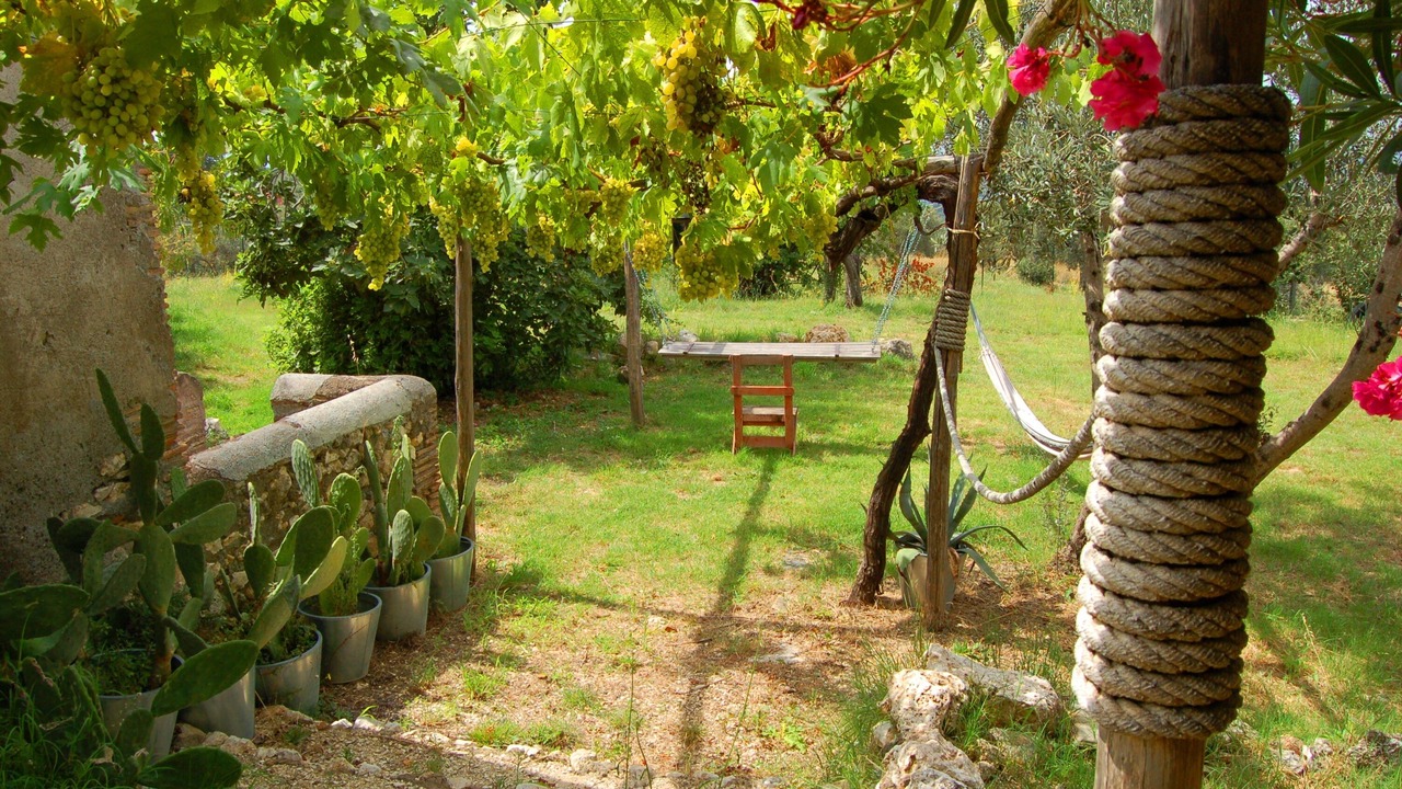 Photo of Outdoor in Palombara Sabina