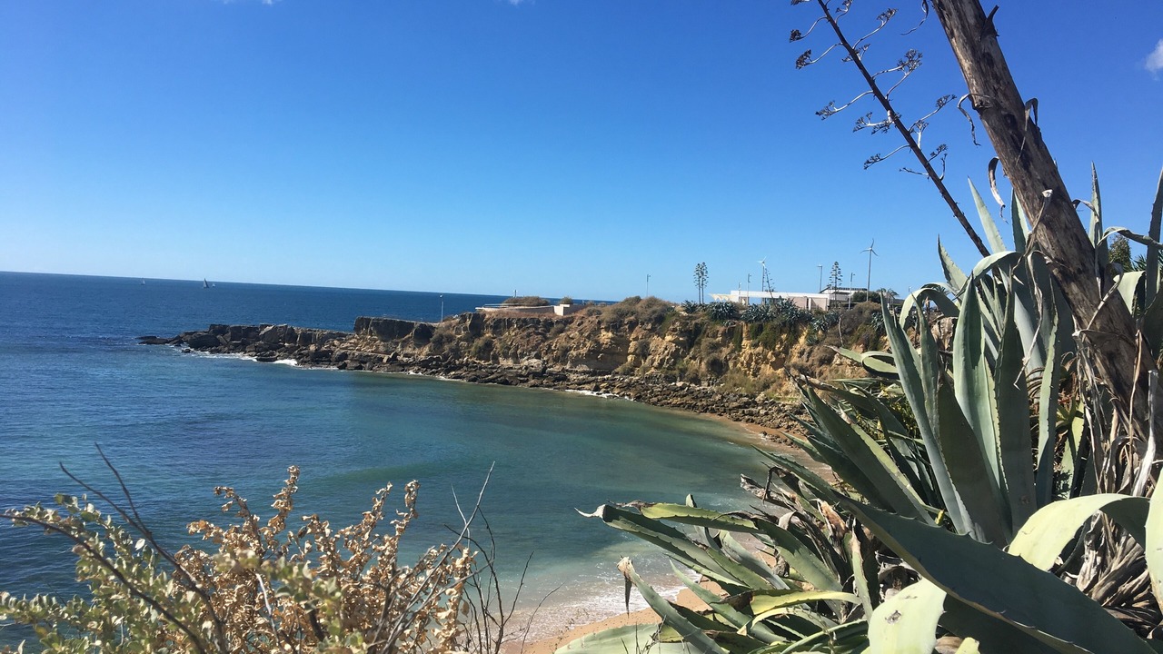 Photo of Others in Cascais