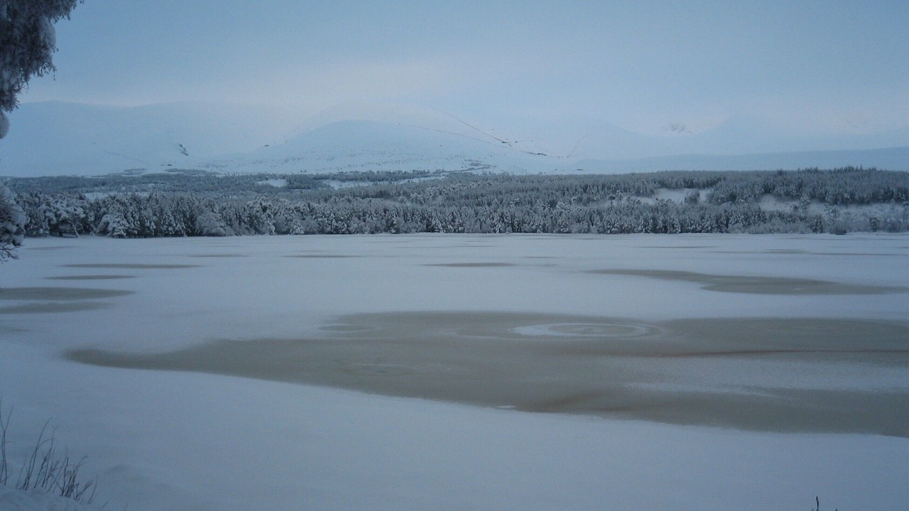 Photo of Others in Aviemore