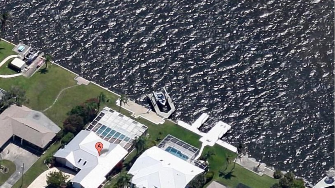 Photo of Others in Caloosahatchee