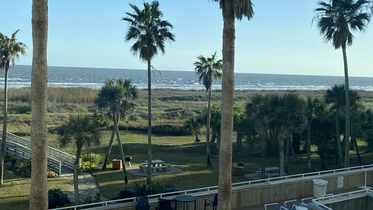 Photo of Others in Galveston