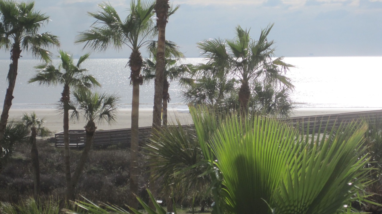 Photo of Others in Galveston