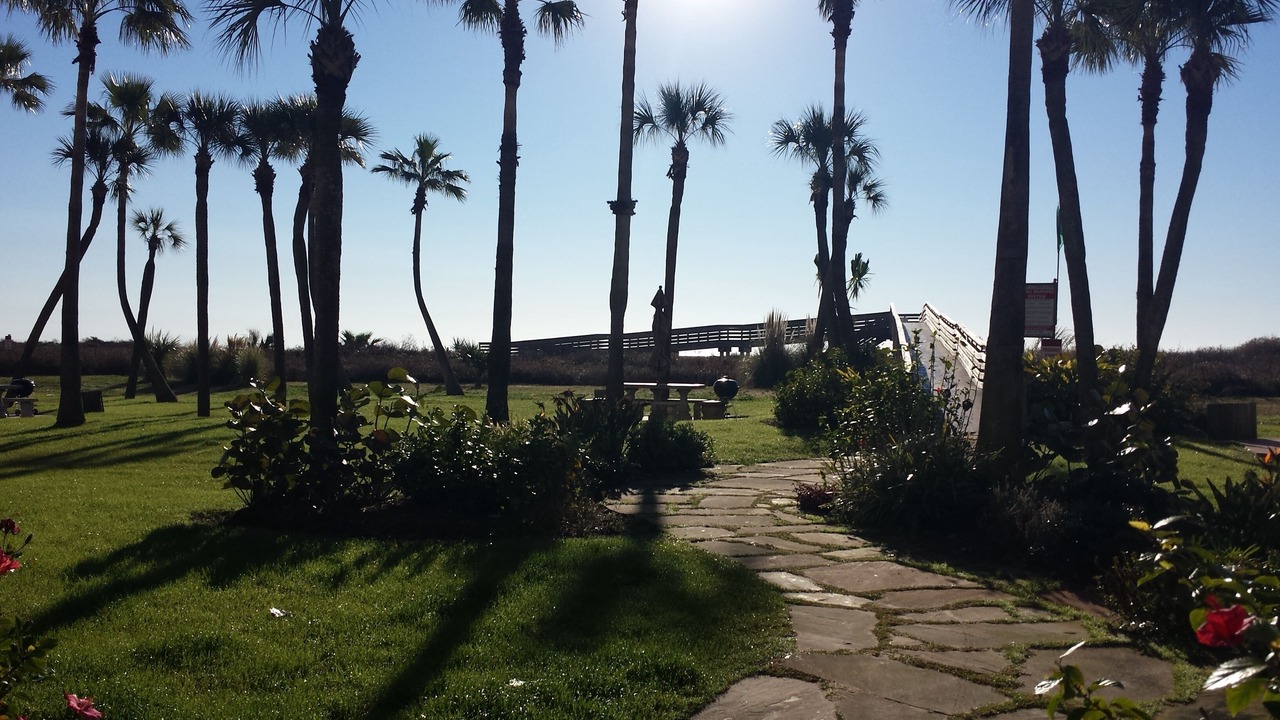 Photo of Others in Galveston