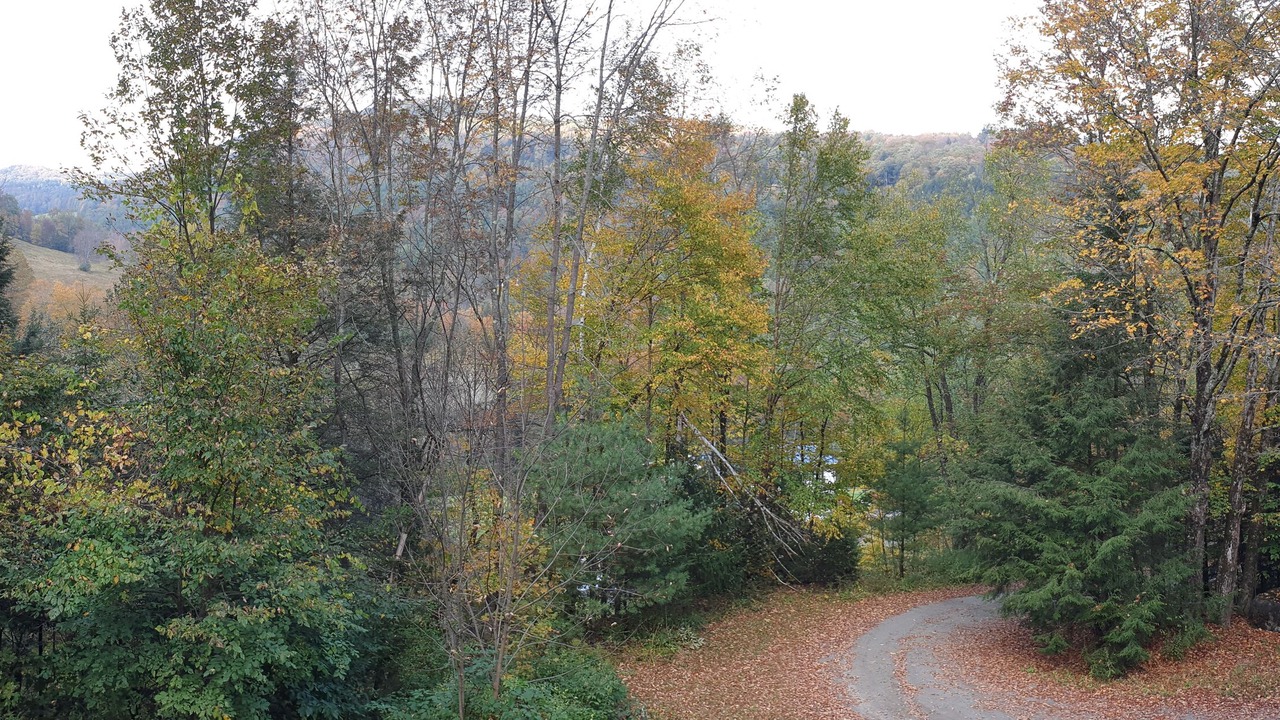 Photo of Outdoor in Pittsfield