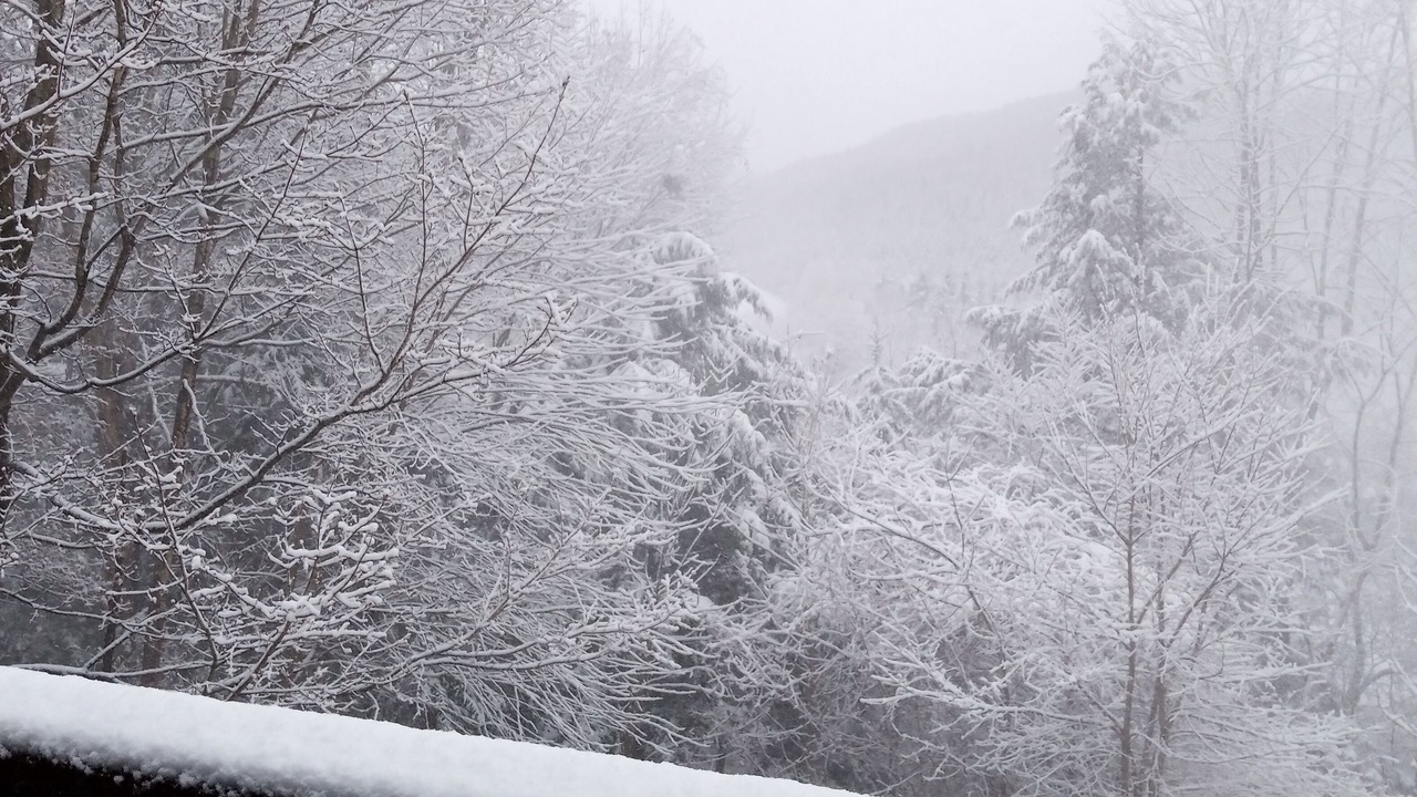 Photo of Patio Balcony in Pittsfield
