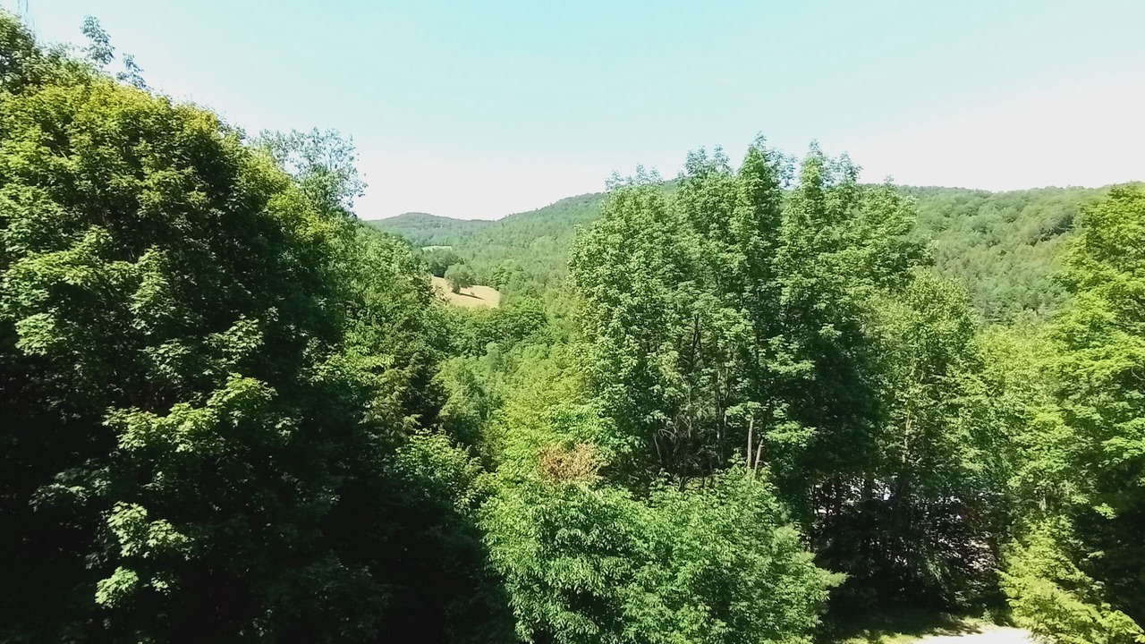 Photo of Outdoor in Pittsfield