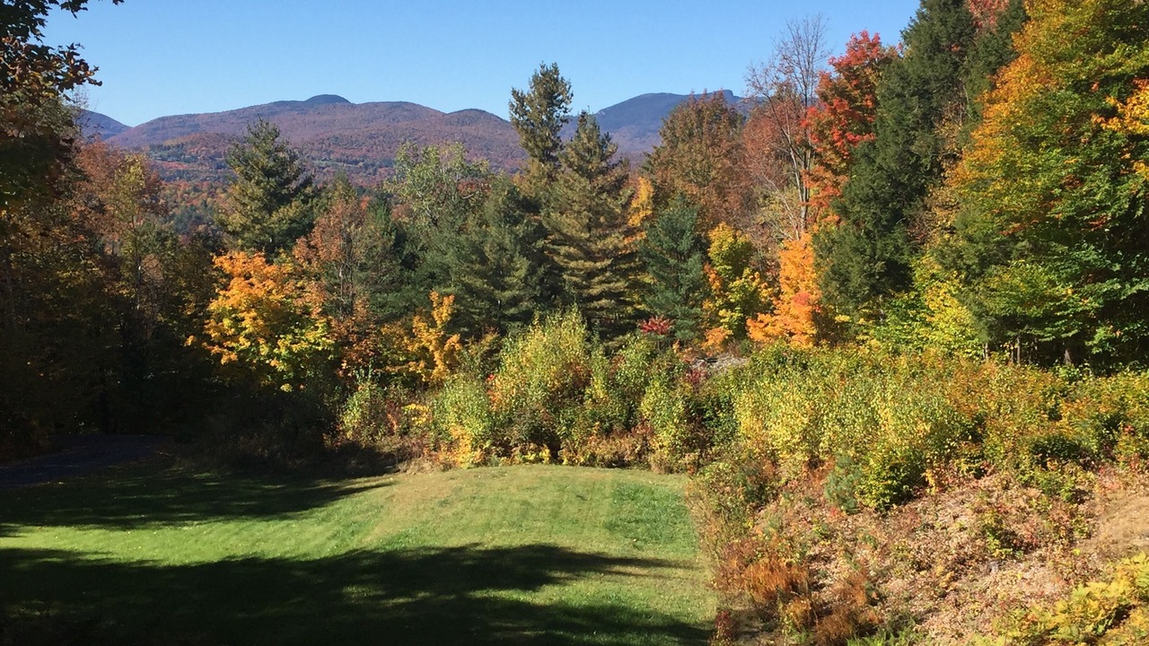 Photo of Others in Stowe Hollow