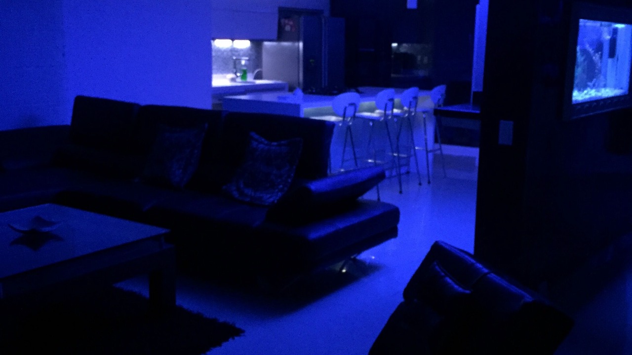 Photo of Livingroom in Patio Bonito