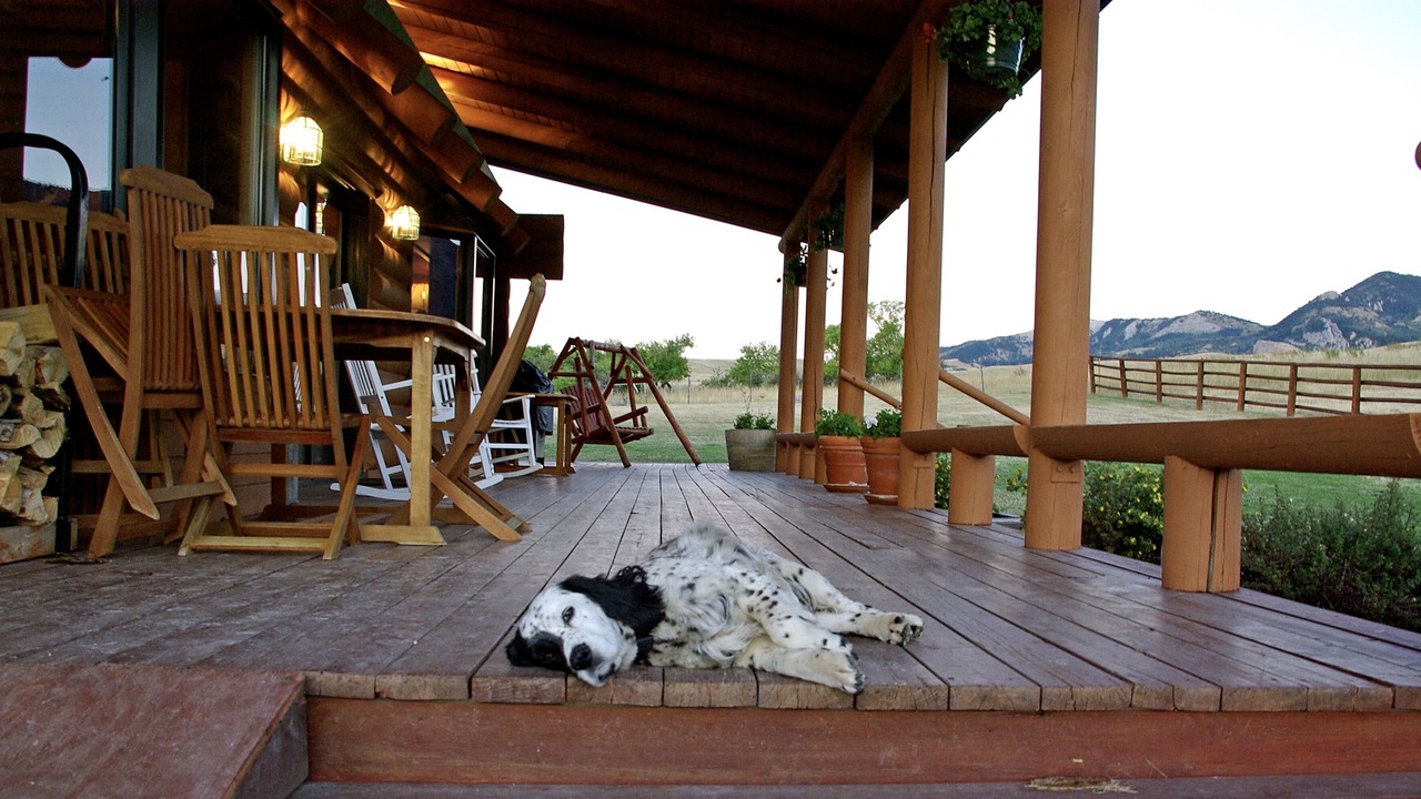 Photo of Outdoor in Story