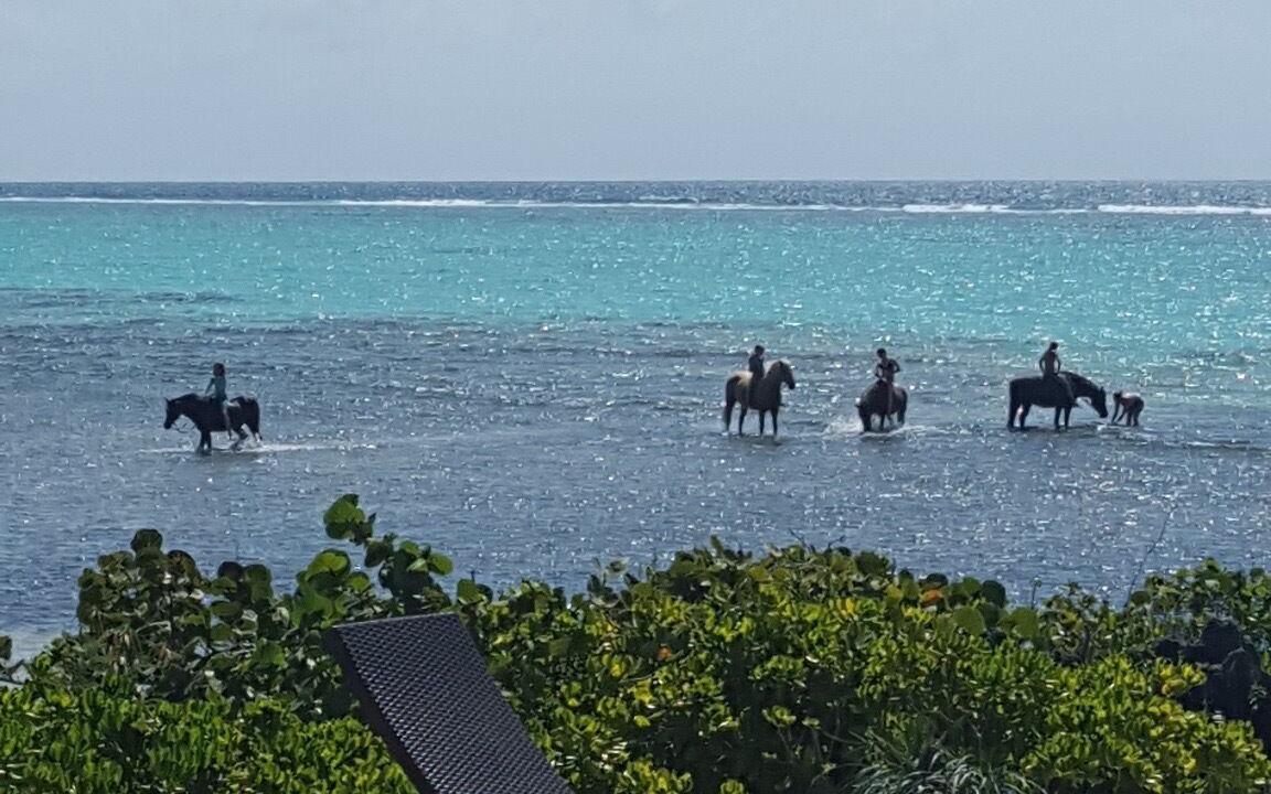 Photo of Others in Bodden Town