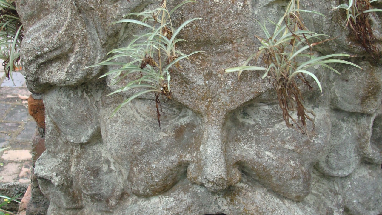 Photo of Others in Vilano Beach