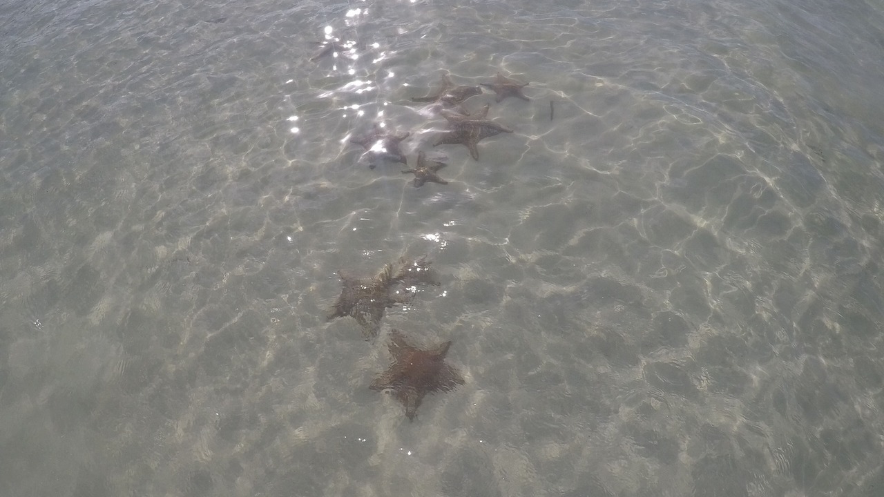 Photo of Others in Rum Point
