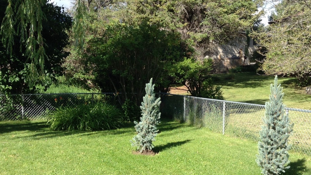 Photo of Outdoor in East Kootenay