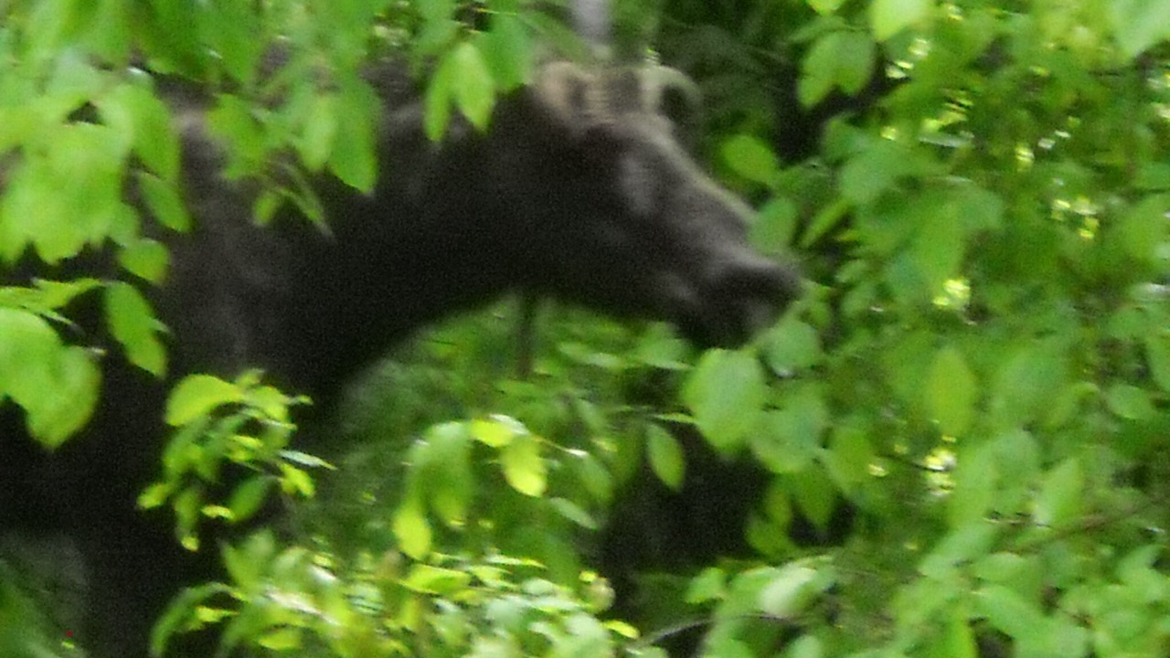 Photo of Others in Bolton Valley