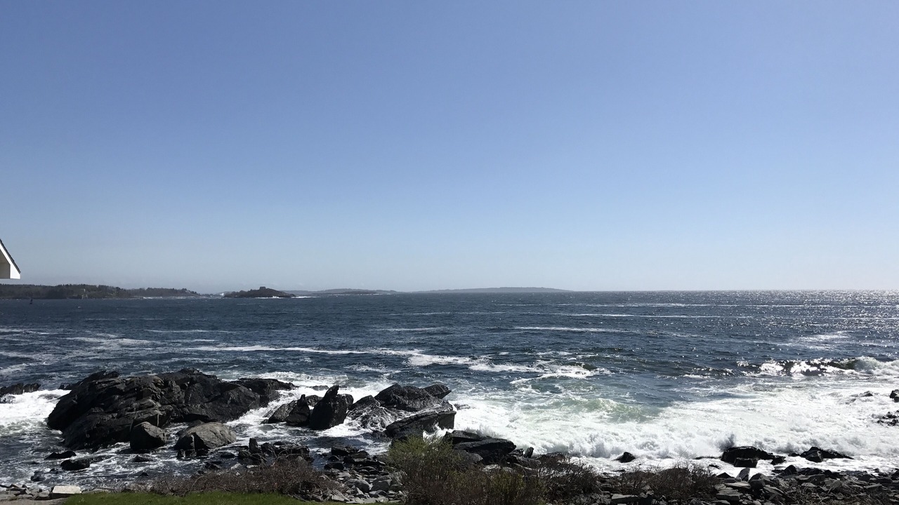 Photo of Others in Peaks Island