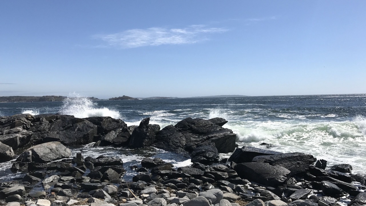 Photo of Others in Peaks Island