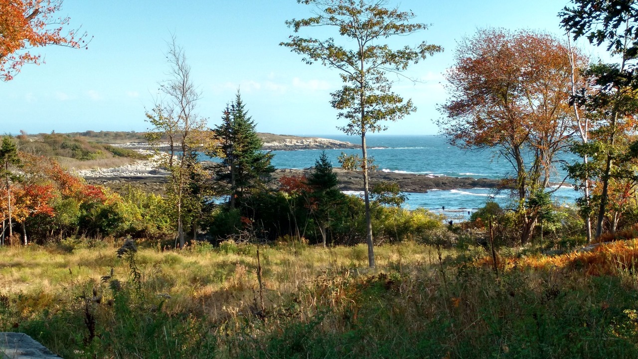 Photo of Others in Long Island