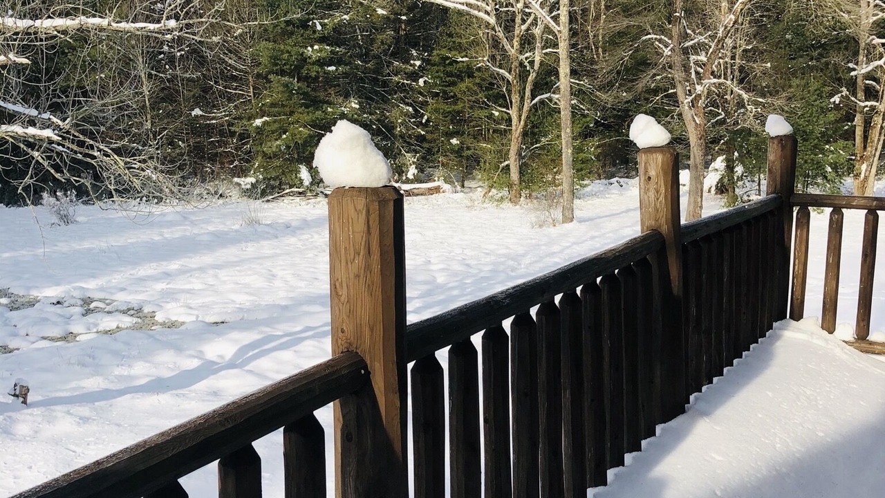 Photo of Outdoor in Greenfield Park