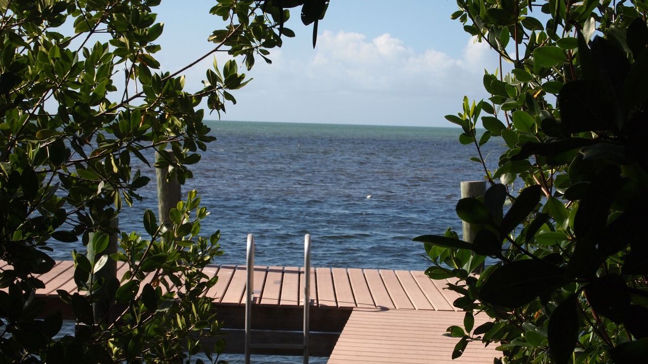 Photo of Others in Cudjoe Key