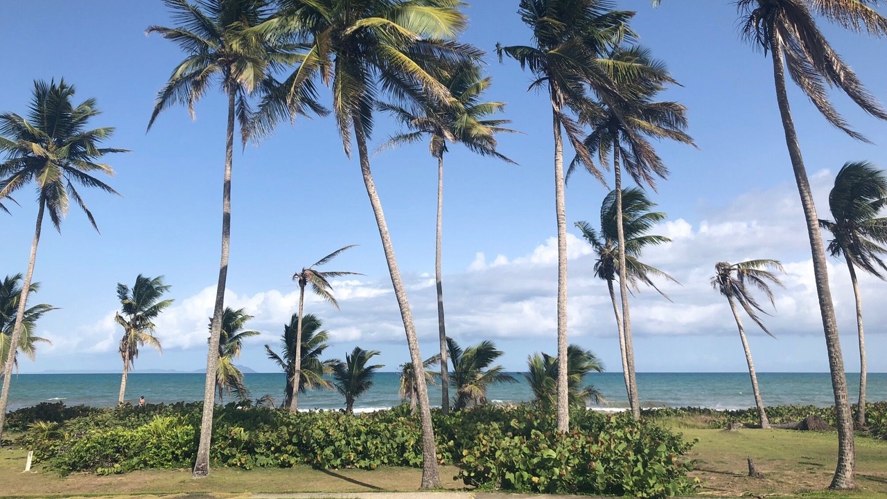 Photo of Outdoor in Rio Abajo