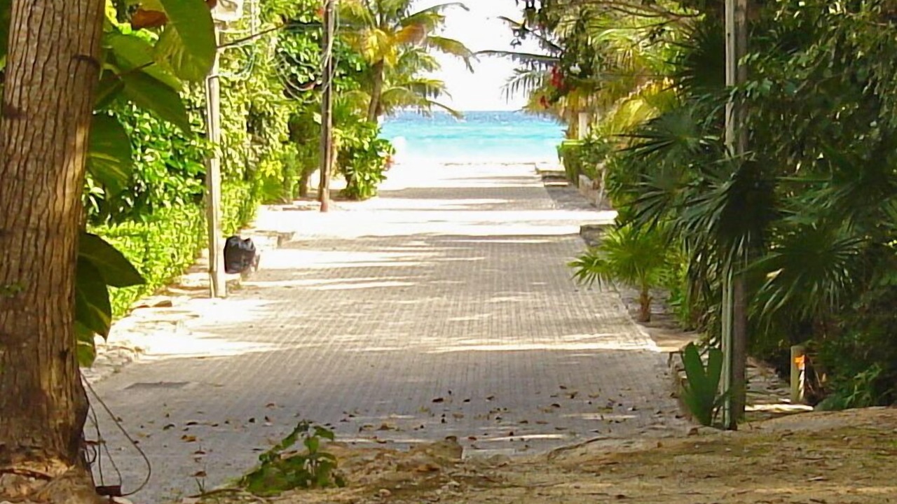 Photo of Others in Playacar Fase I