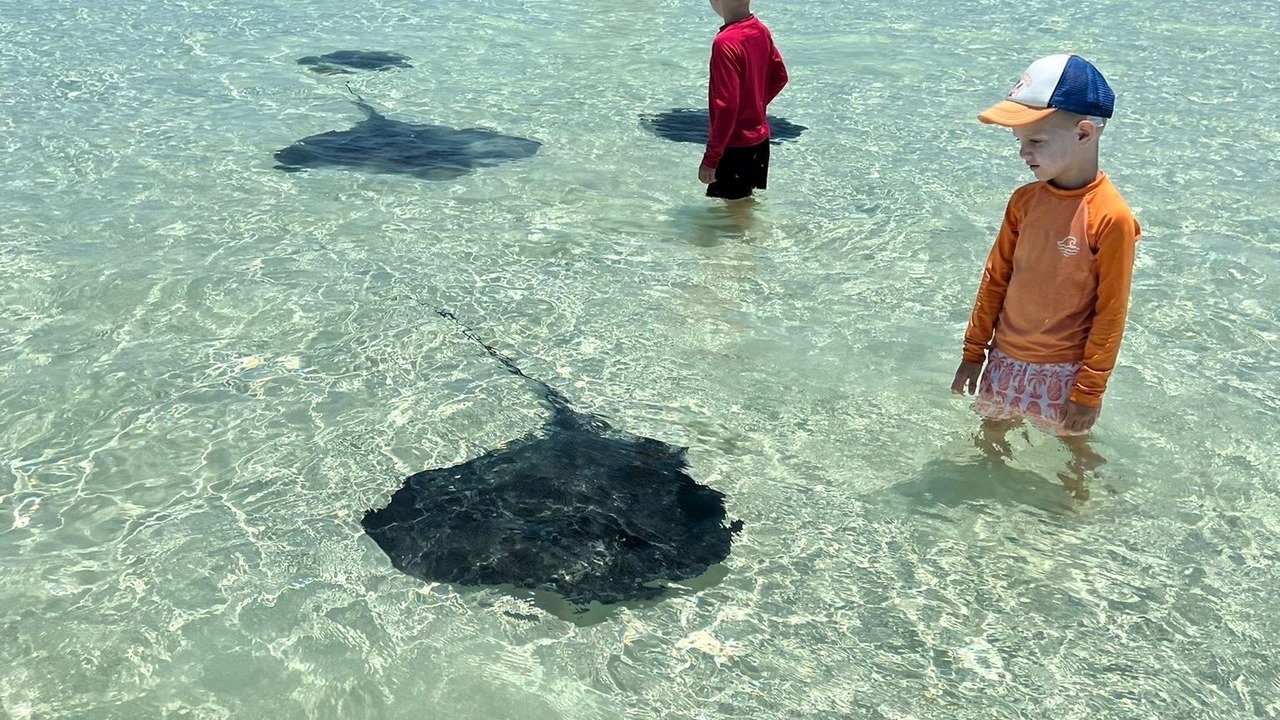 Photo of Others in Spanish Wells