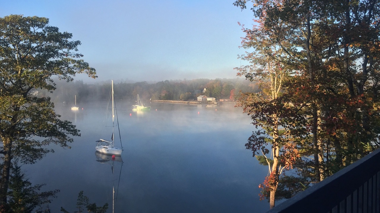 Photo of Others in Chester Basin