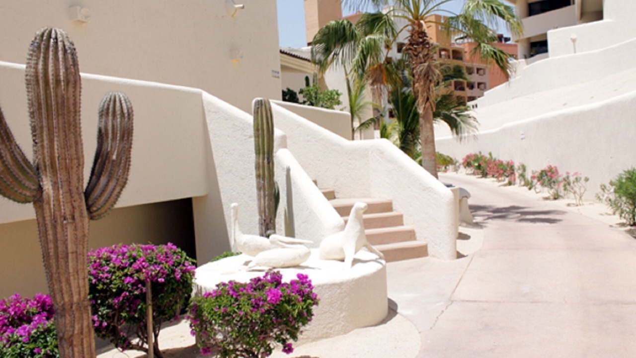 Photo of Outdoor in Marina