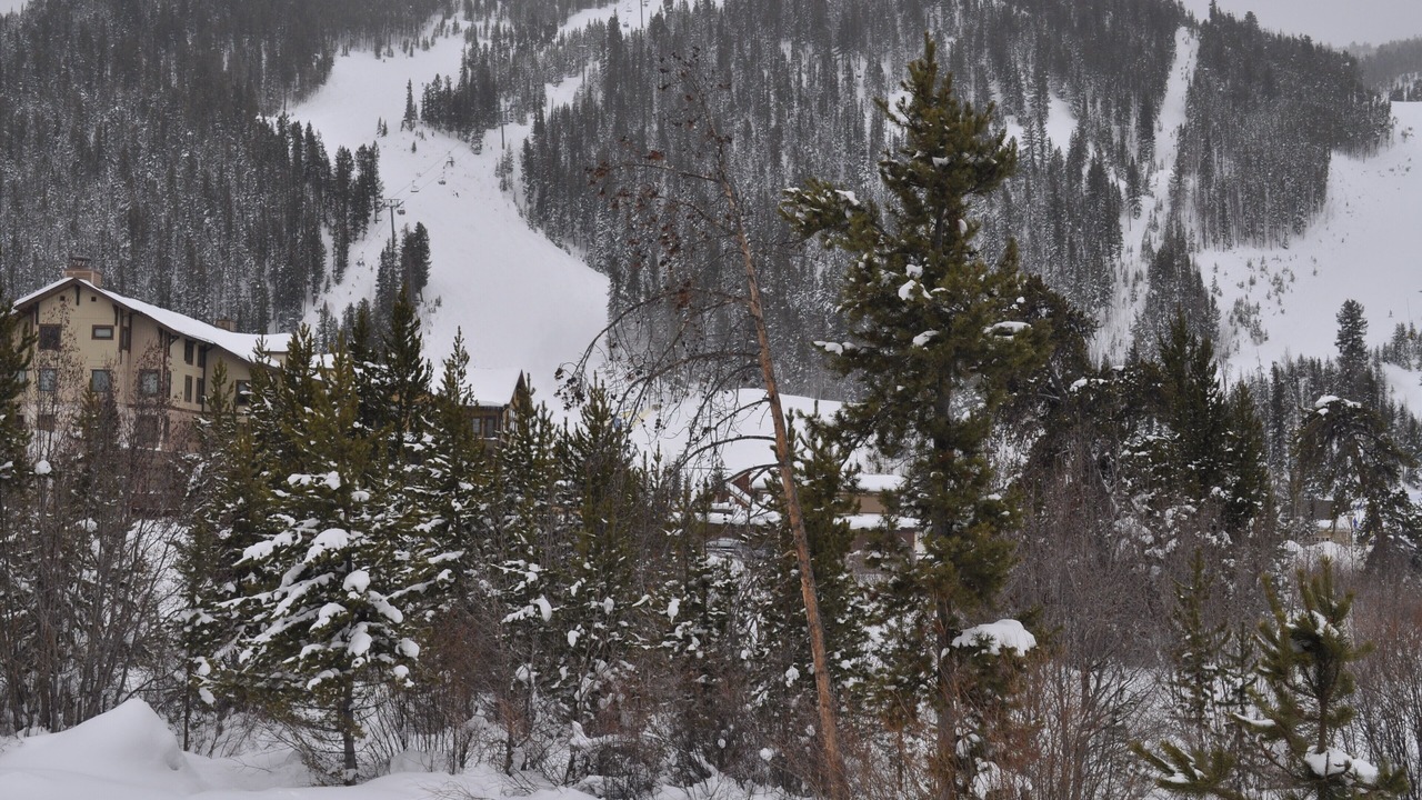 Photo of Others in Mountain House