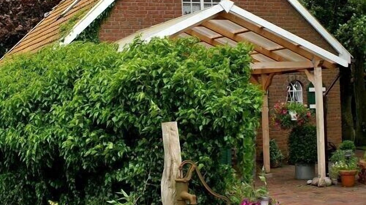 Photo of Outdoor in Willmsfeld