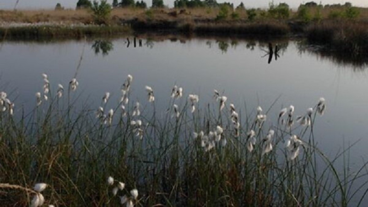 Photo of Outdoor in Willmsfeld
