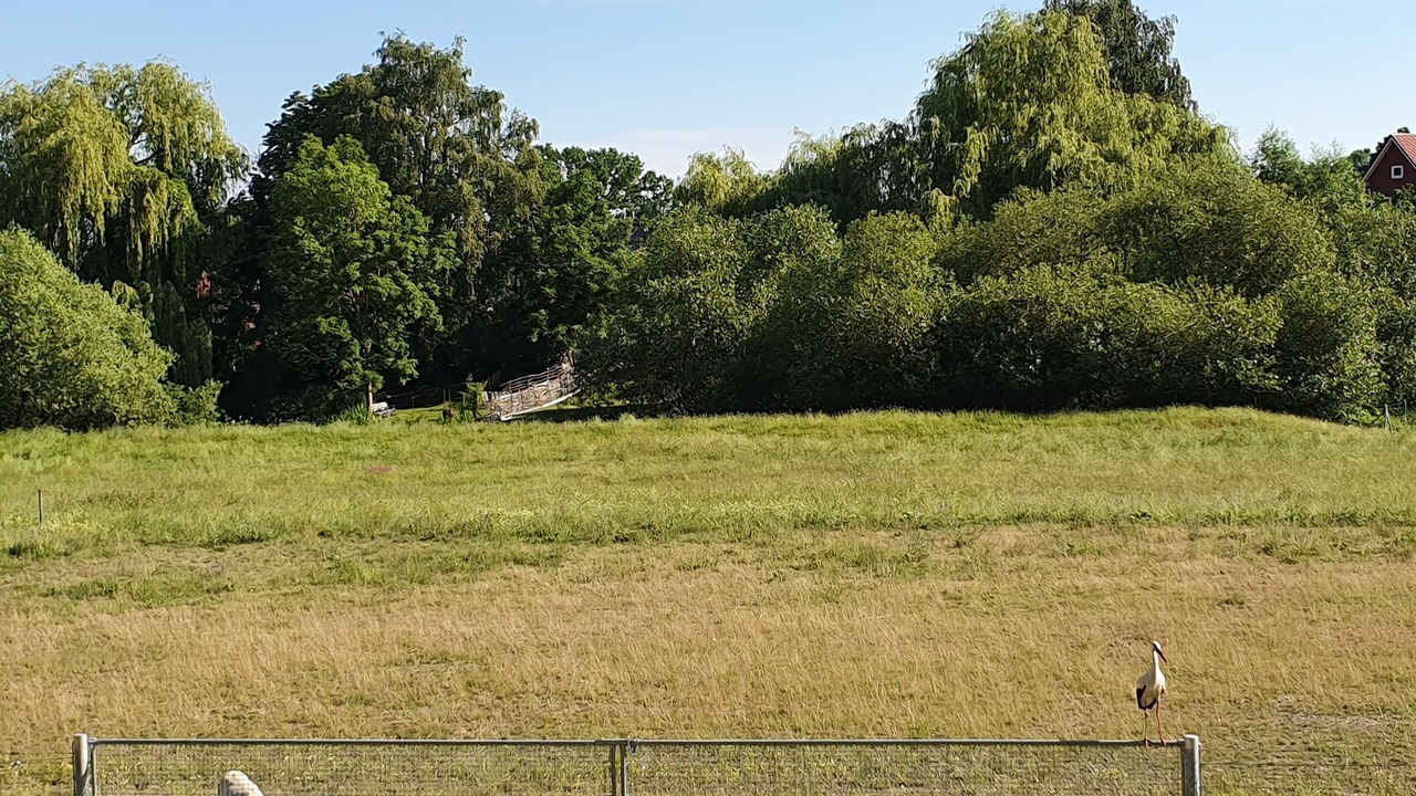 Photo of Others in Kirchwerder