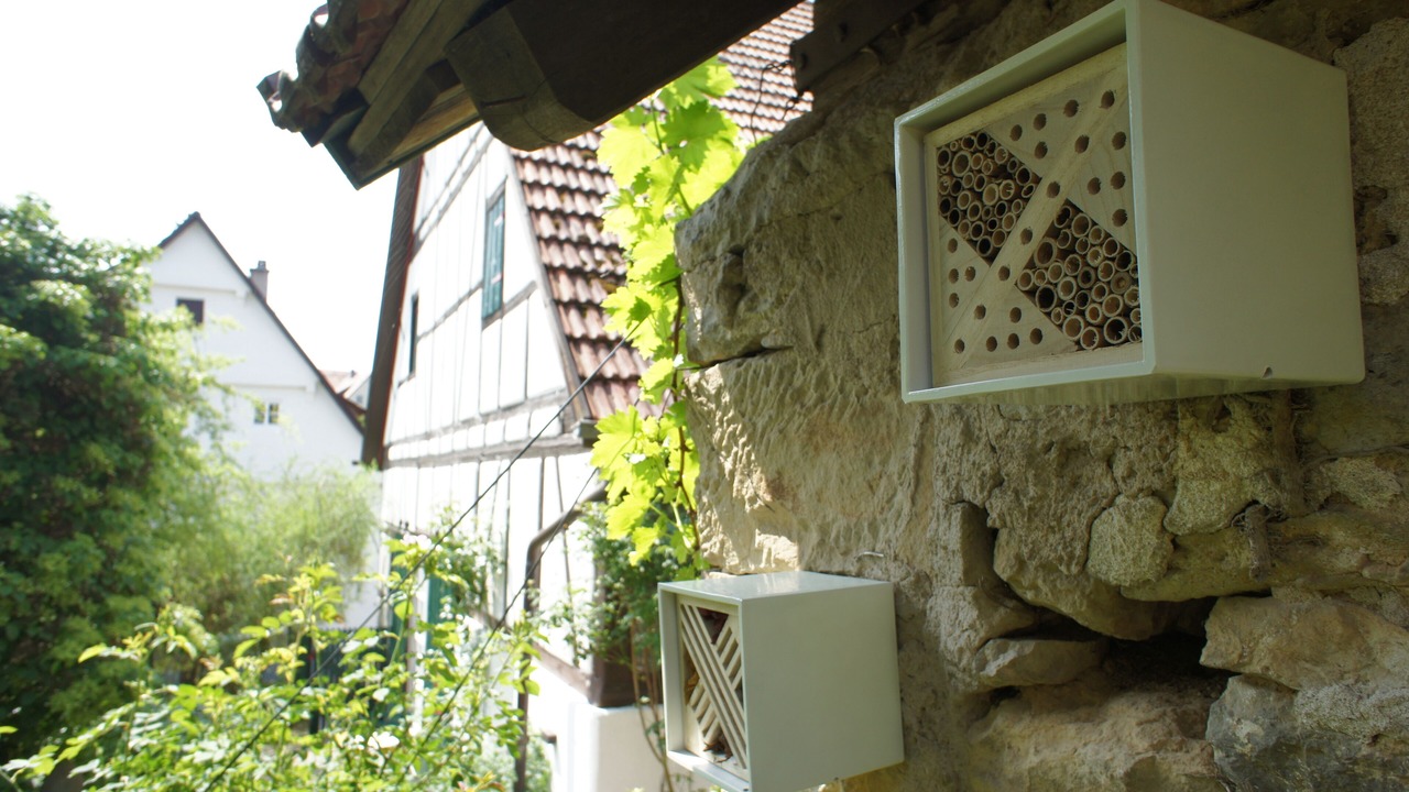 Photo of Outdoor in Kirchberg an der Murr