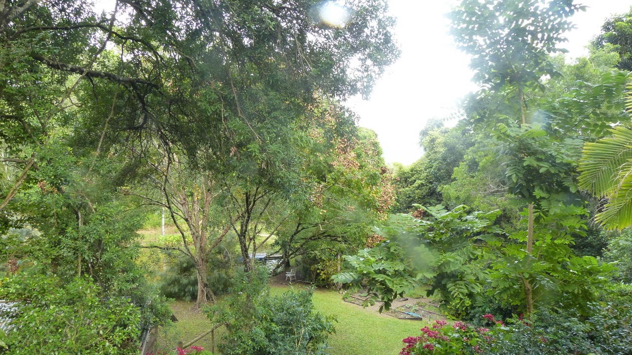 Photo of Patio Balcony in Eerwah Vale