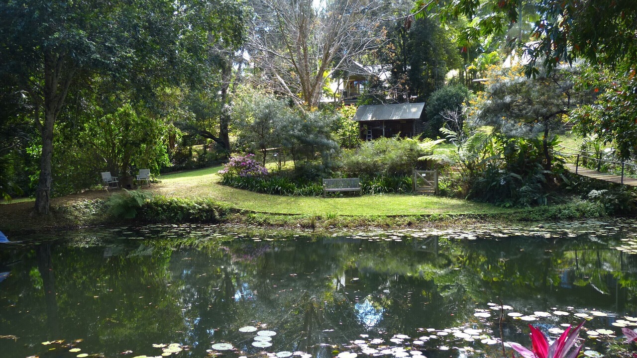 Photo of Outdoor in Eerwah Vale