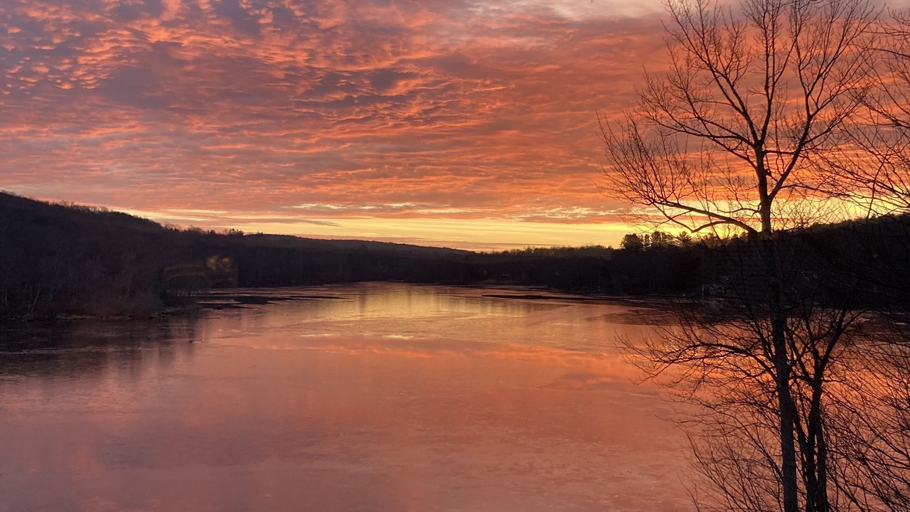Photo of Outdoor in Swan Lake