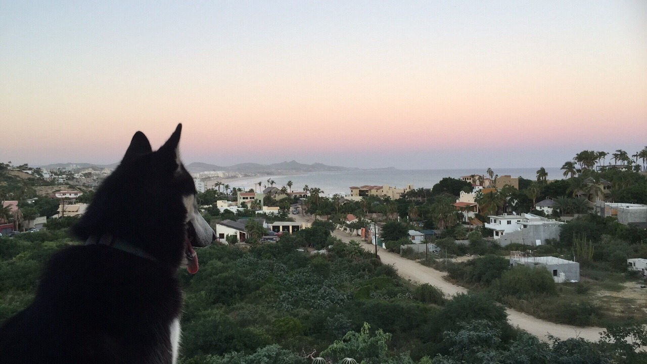 Photo of Others in San Jose del Cabo
