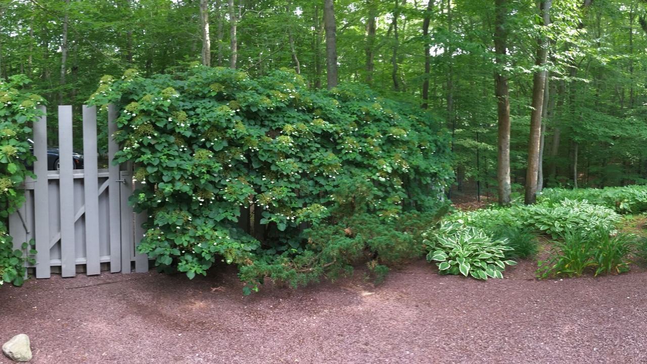Photo of Outdoor in Amagansett North