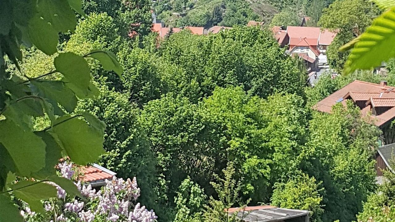 Photo of Outdoor in Stolberg