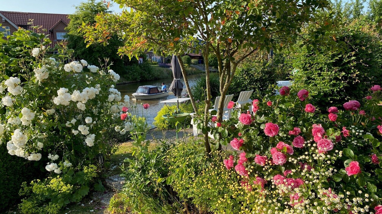 Photo of Outdoor in Greetsiel
