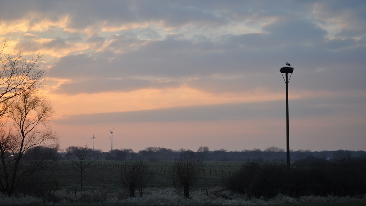 Photo of Outdoor in Eickeloh