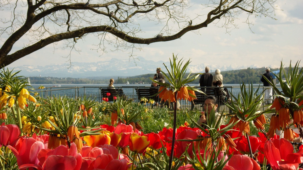Photo of Outdoor in Ueberlingen