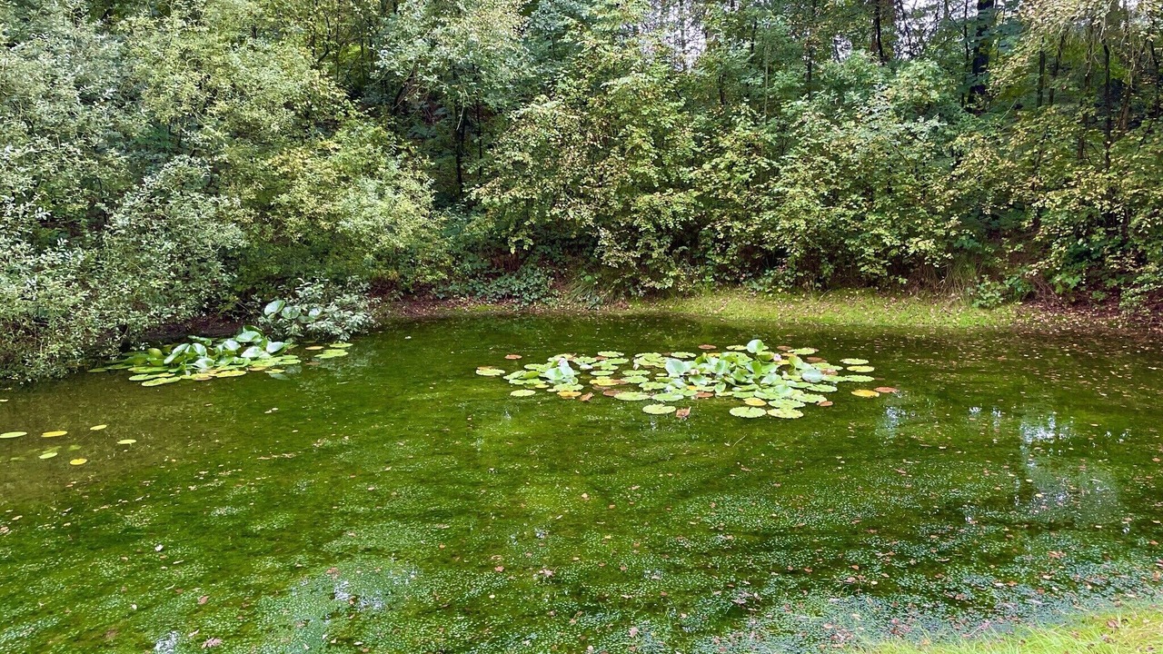Photo of Outdoor in Wiefelstede