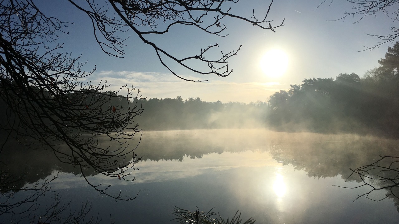 Photo of Others in Wiefelstede