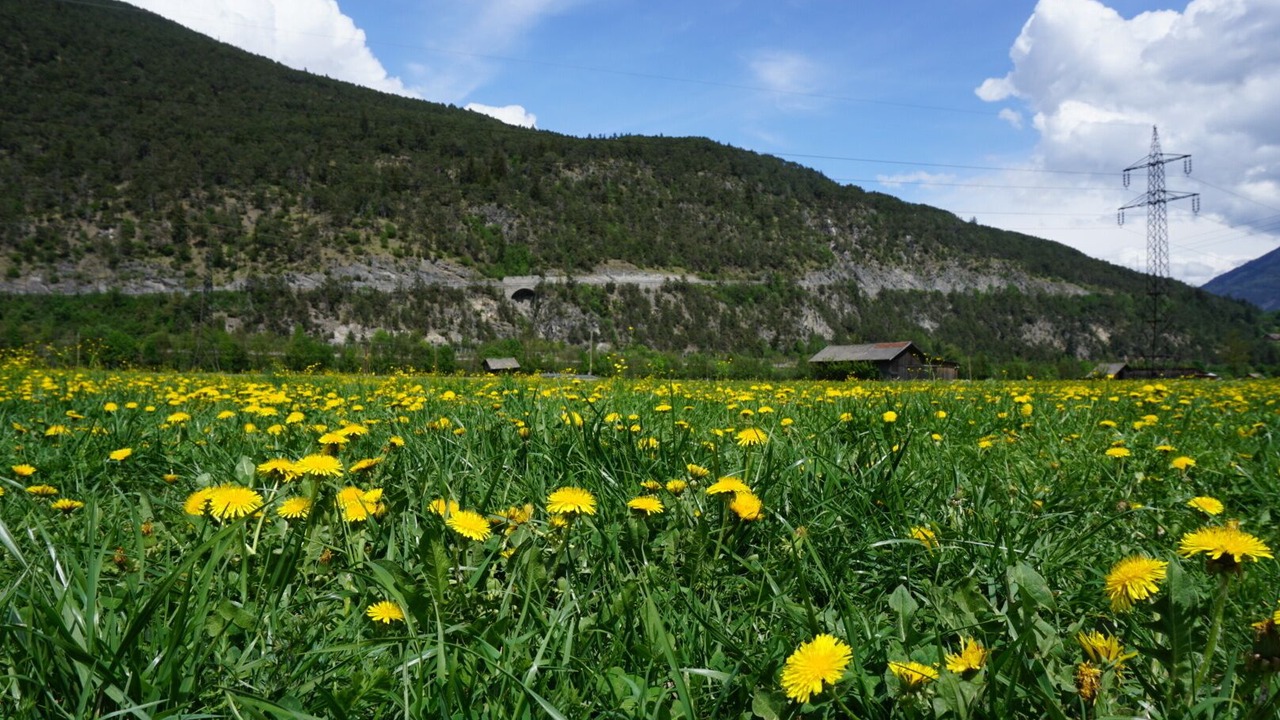 Photo of Outdoor in Imsterberg
