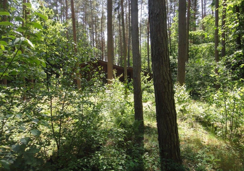 Photo of Outdoor in Hitzacker